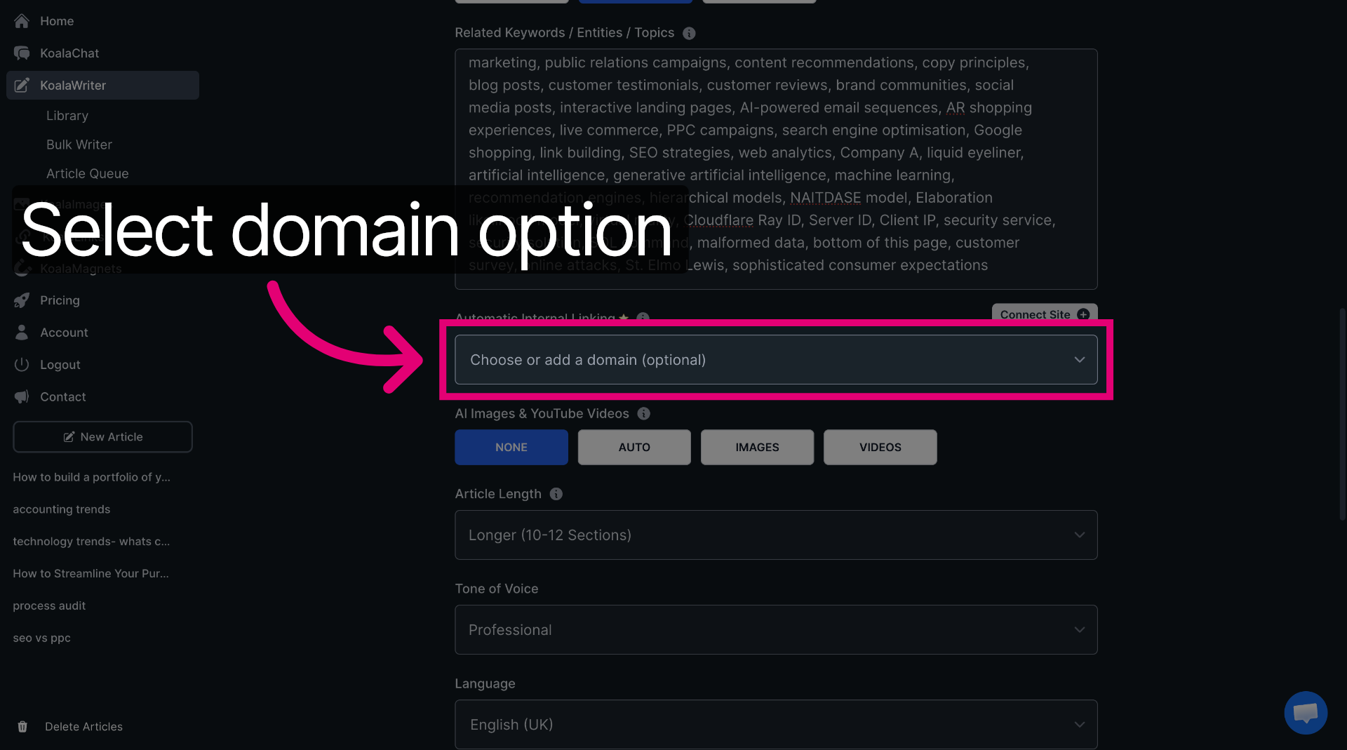 Choose Domain Option